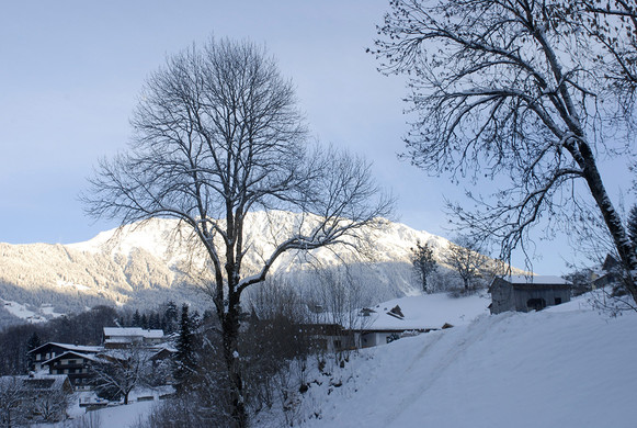 115_bearbeitet-1_jpg-1292799239