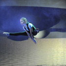 WT_2010_144.jpg