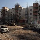 IBD0741-20101219.jpg