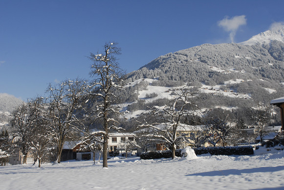 002_bearbeitet-1_jpg-1292836673