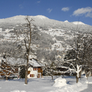 007_bearbeitet-1_jpg-1292836749