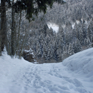 023_bearbeitet-1_jpg-1292836814