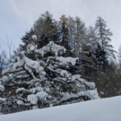 110_bearbeitet-1_jpg-1292837021