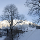 115_bearbeitet-1_jpg-1292837096