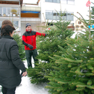 Christbaumverkäufer Arnold Berger