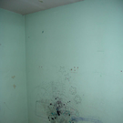 Kind_201_20OG.jpg