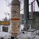 Dosen_jpg-1292863336