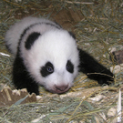 ABD0004-20101122.jpg