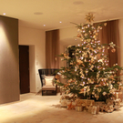 Seehotel Weihnacht _1__jpg-1292941447
