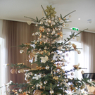Seehotel Weihnacht _32__jpg-1292941939
