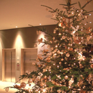 Seehotel Weihnacht _3__jpg-1292941489