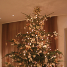 Seehotel Weihnacht _2__jpg-1292941466