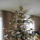 Seehotel Weihnacht _30__jpg-1292941894