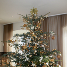 Seehotel Weihnacht _29__jpg-1292941876