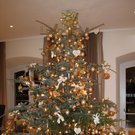 Seehotel Weihnacht _35__jpg-1292941999