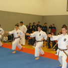 IMGP8644.JPG