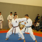 IMGP8660.JPG