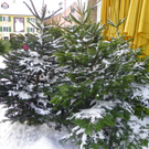 108_3262_jpg-1292976375