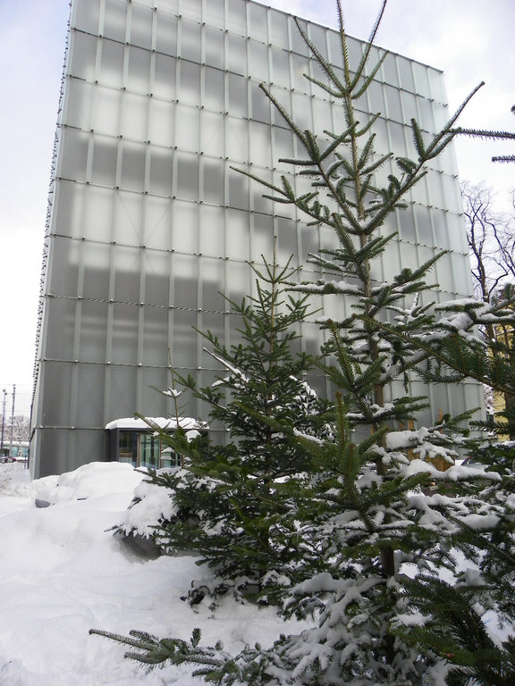 108_3263_jpg-1292976386