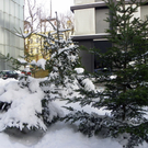 108_3285_jpg-1292976465