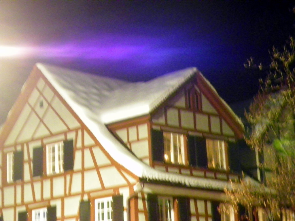 108_3938_jpg-1292979545