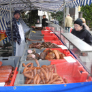 DSCN0336_JPG-1293027371