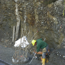 108_2010_jpg-1293063733