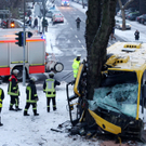 IBD0119-20101223.jpg