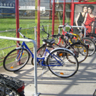 B__gel an Haltestelle_JPG-1293111235