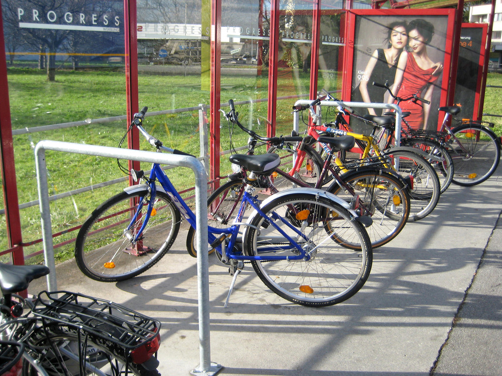 B__gel an Haltestelle_JPG-1293111235