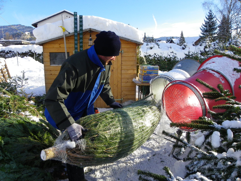 108_3753_jpg-1293188859