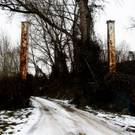 24122010oelverschmutzunghafenlinzthaktivnews002.jpg