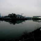 24122010oelverschmutzunghafenlinzthaktivnews014.jpg