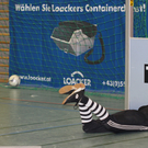 Halle Wolfurt 8   2010 109_jpg-1293271324