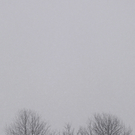 dc1-5xmnpfm2gg617qa4td4m_original.jpg