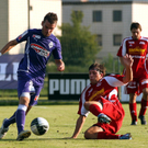 KRUG20100821304.jpg