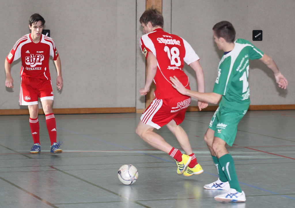lingenau 9_jpg-1293448442