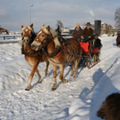 IMG_5071_JPG-1293450260