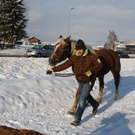 IMG_5073_JPG-1293450270
