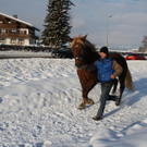IMG_5074_JPG-1293450275