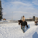 IMG_5076_JPG-1293450285