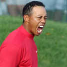 02woods2.jpg