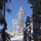 Schneebilder unserer User