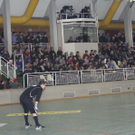 Halle Wolfurt10  2010 016_jpg-1293456798
