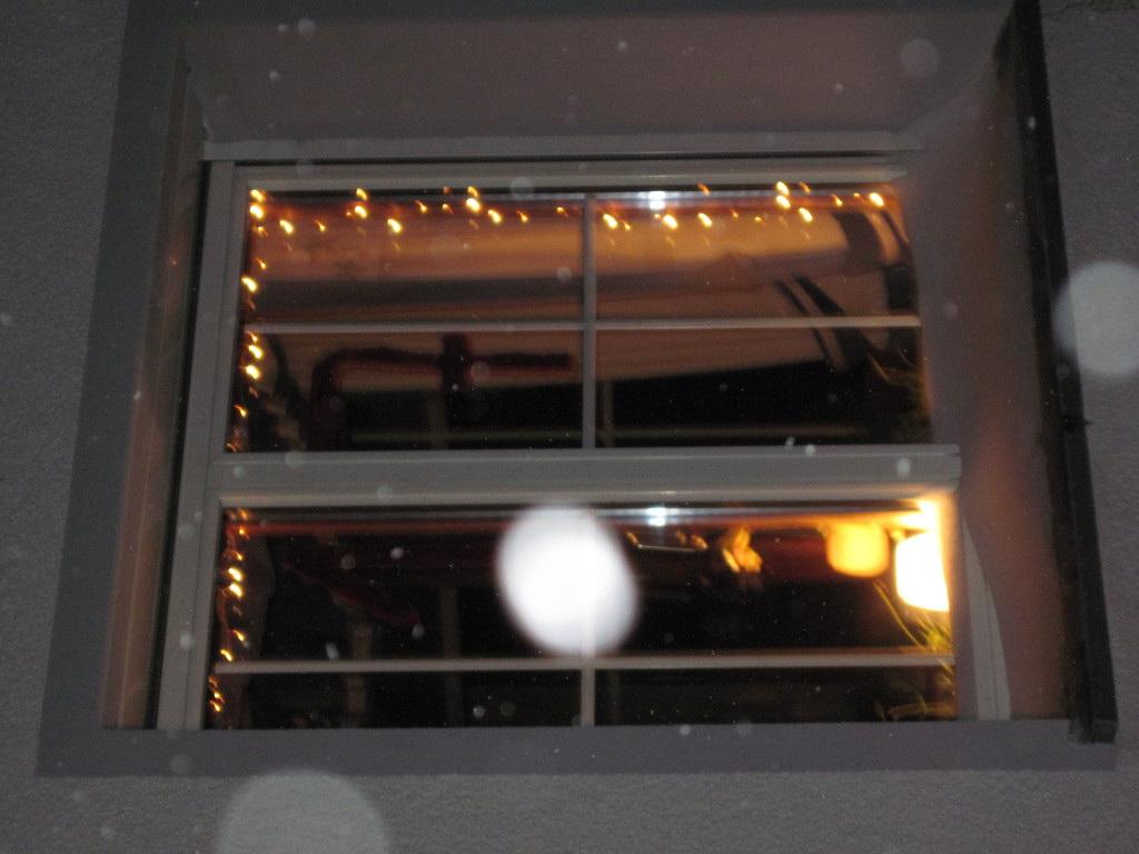 IMG_1471.JPG
