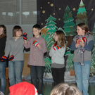DSC_0447 _Medium__JPG-1293552143