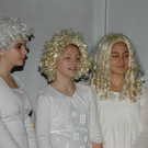 DSC_0481 _Medium__JPG-1293552174