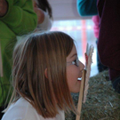 DSC_6199.jpg