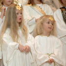 DSC_7342.jpg