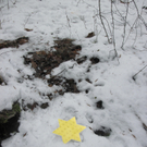 Sternensuche Kindergarten 040_JPG-1293569955.jpg